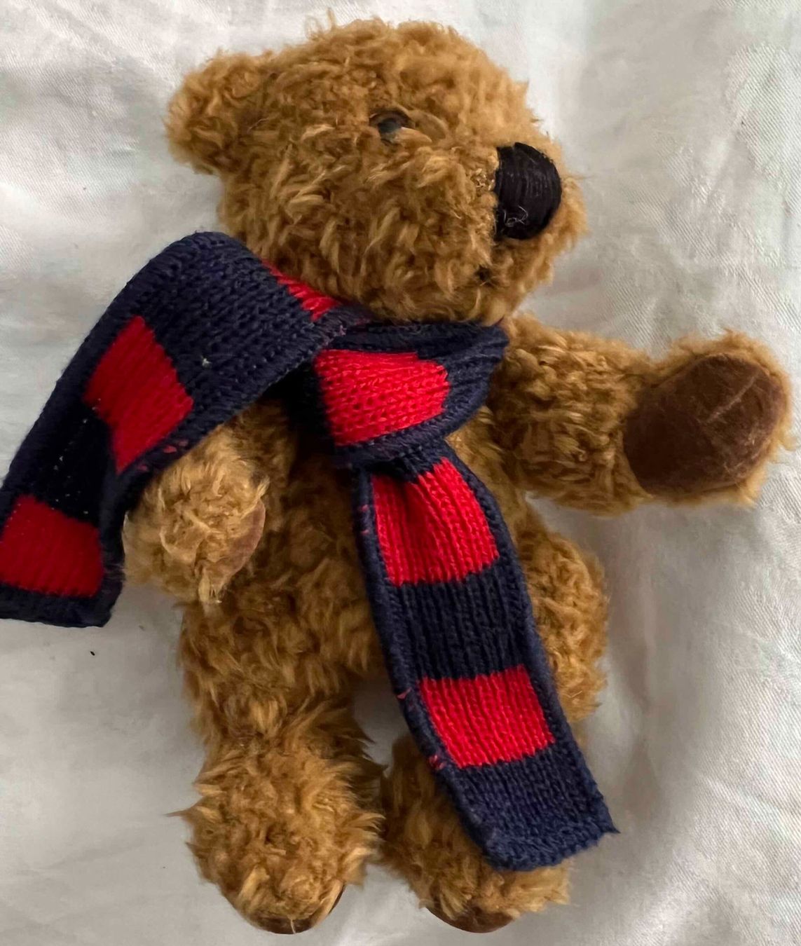 Jouets: Teddy Bär Plüschtier 15 cm – D'occasion à Zürich par dojoal64
