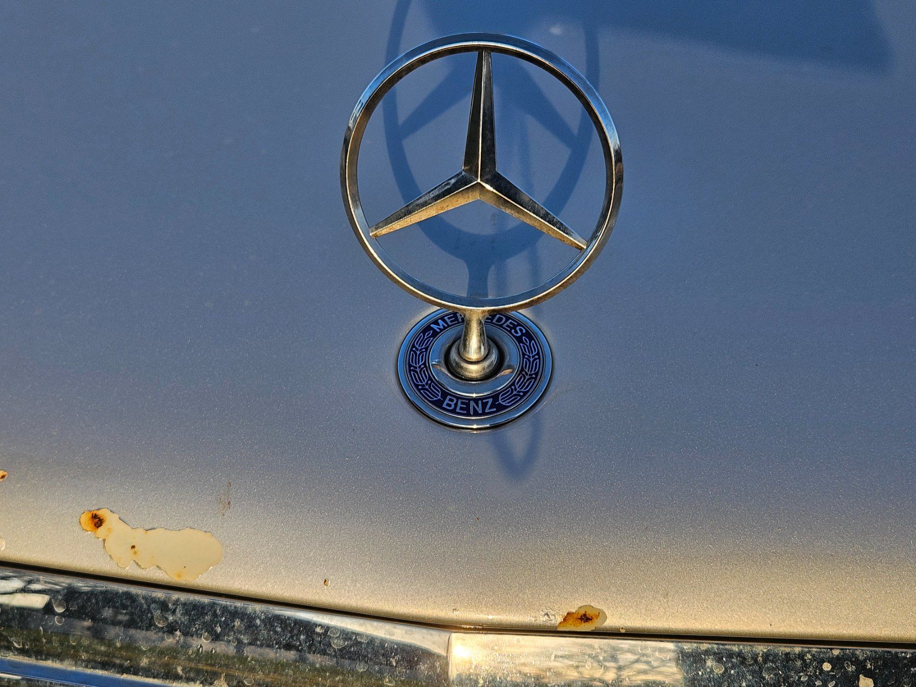 Mercedes-Benz Automobili: Mercedes E320 W210 – Usato da Misery venduto da Xtrix71 5