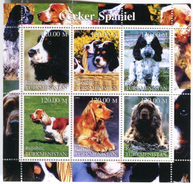 Alle Briefmarken: Block "Cockerspaniel". Turkmenistan – Neu und originalverpackt aus Basel von Butsch5