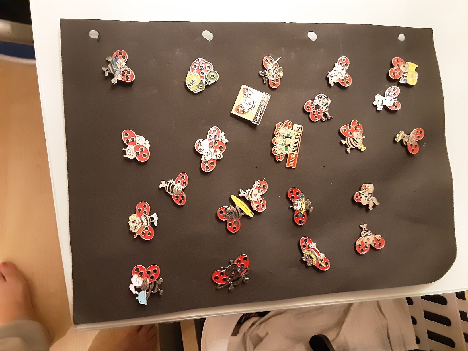 Placchette & Badge: 23 Blick käfer – Usato da wolfhalden venduto da 46464646