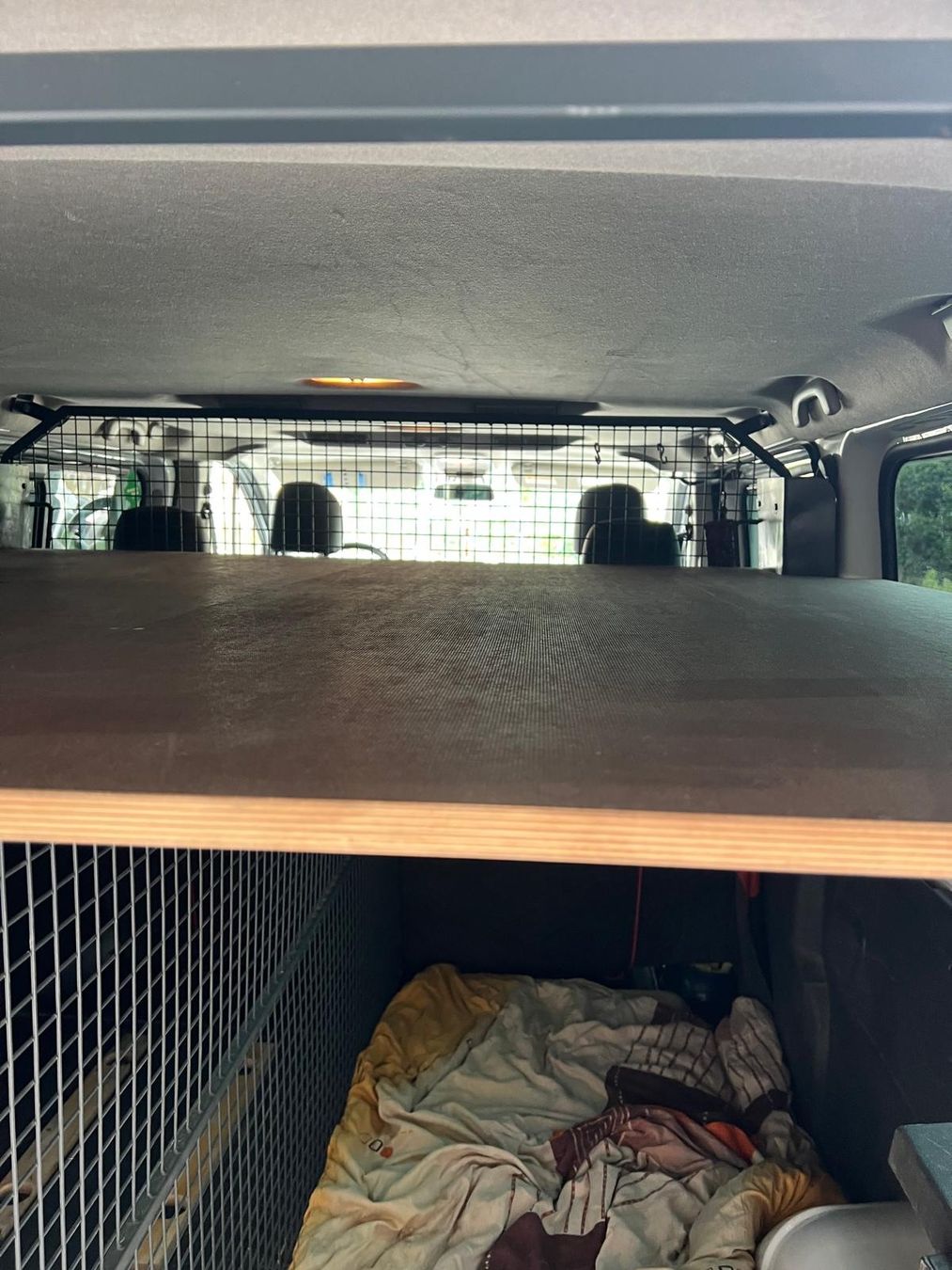 Gabbie, trasporto & Sicurezza: Hundegitter Hundebox Lieferwagen – Usato da Vallamand venduto da Germara 5