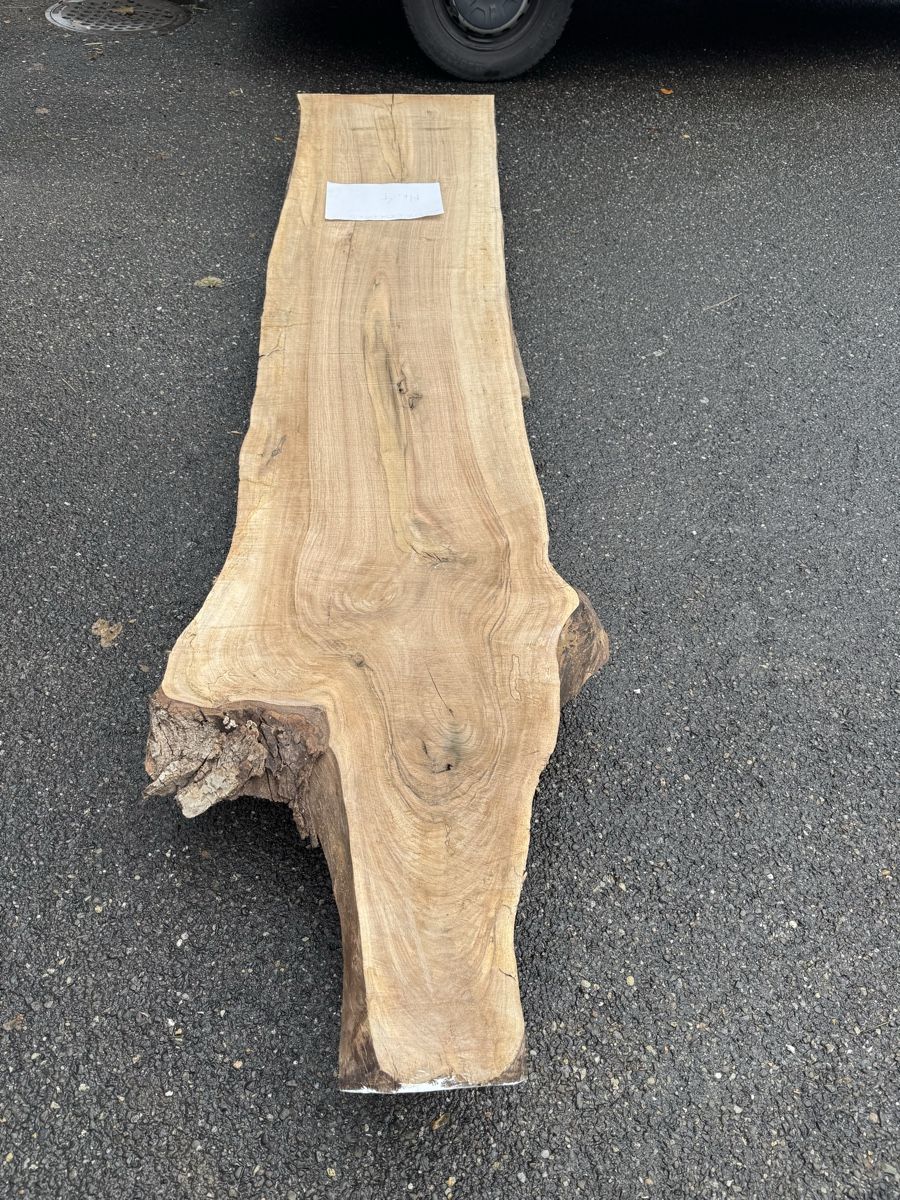 Articoli in legno: Nussbaum Klotzbrett 280  cm lang! – Usato da Gränichen venduto da onkel_xxl 3