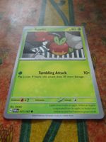 POKEMON  Applin   H  TWM EN  017/167   HP40  2024