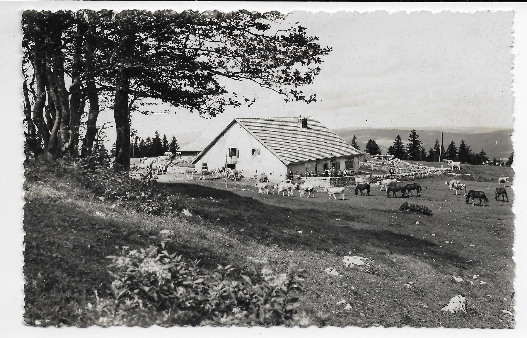 Cartoline postali: Le Soliat Creux-du-van – Usato da Hefenhofen venduto da Richsalz