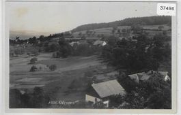 Oleyres