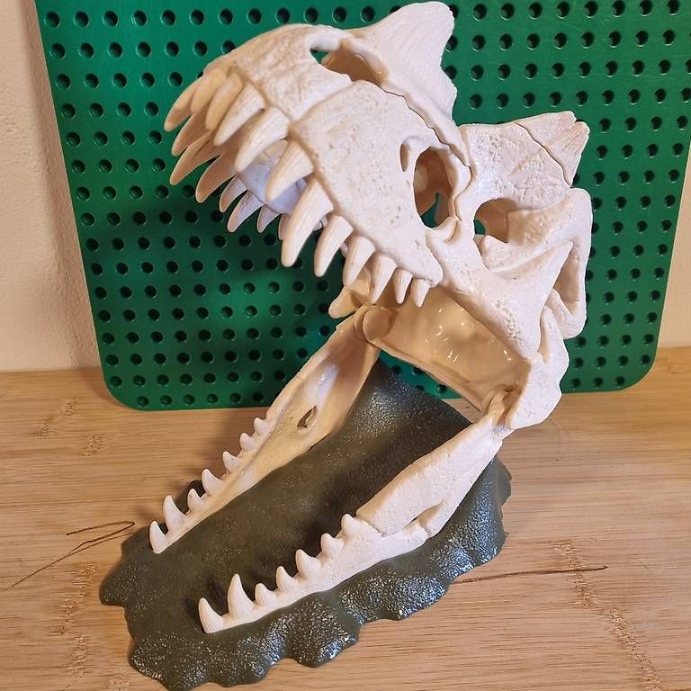 Giocattoli: Schleich Dino Schädel – Usato da Meikirch venduto da amsel016 1