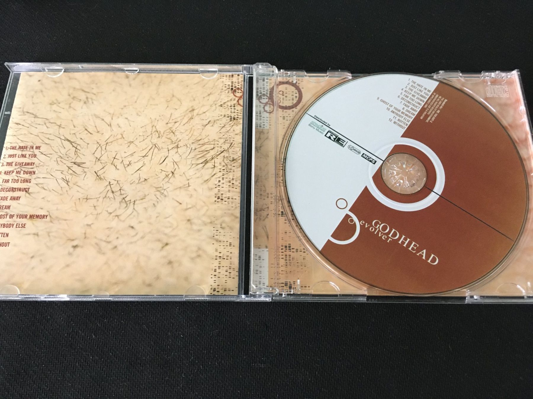 CD: Evolver - Godhead -CD- – Usato da St.Gallen venduto da MedienJoe 1