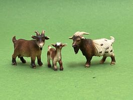 Schleich Zwergziegenbock Zwergzicklein Ziege Zwergziege