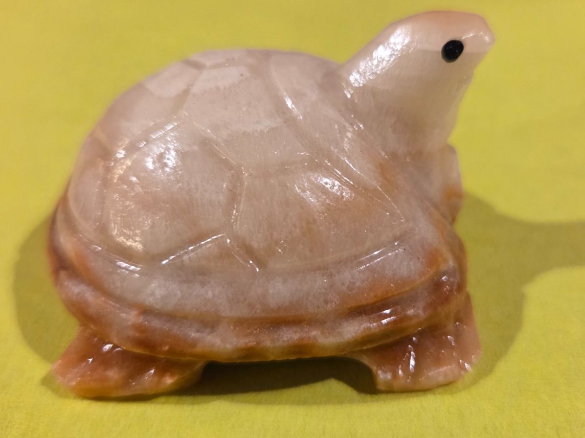Sculture & Statue: Schildkröte aus Marmor 5cm – Nuovo (secondo la descrizione) da Roggliswil venduto da Mabelco