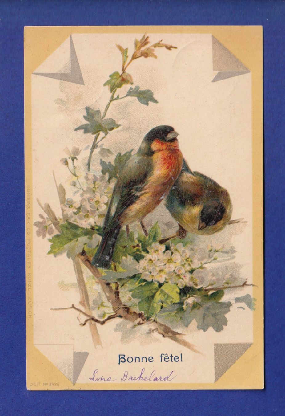 Cartoline postali: OISEAU - Rouges-Gorges – Usato da Pully venduto da nicecards-shop