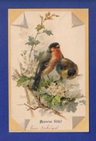 OISEAU - Rouges-Gorges