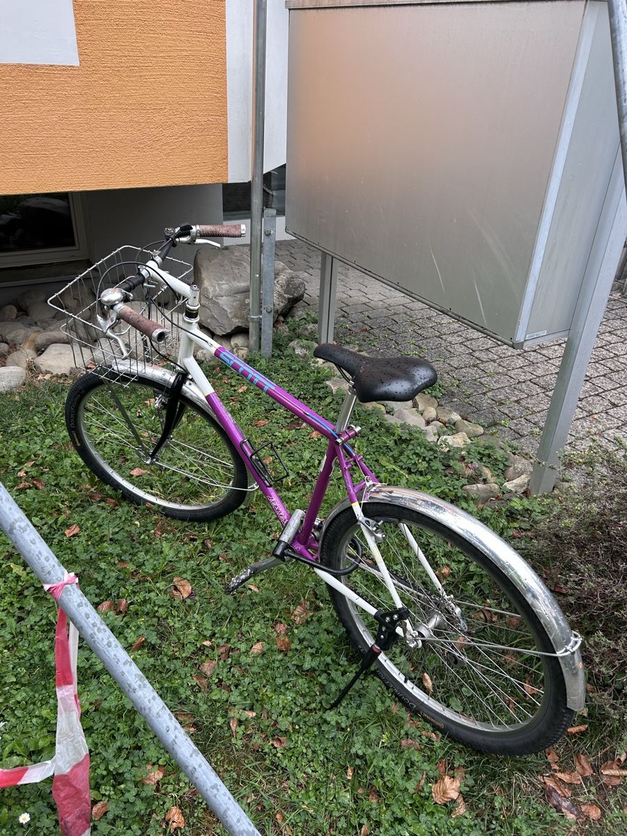 Scott Biciclette: Scott Velo Lila weiss – Usato da Zürich venduto da Nnnn161