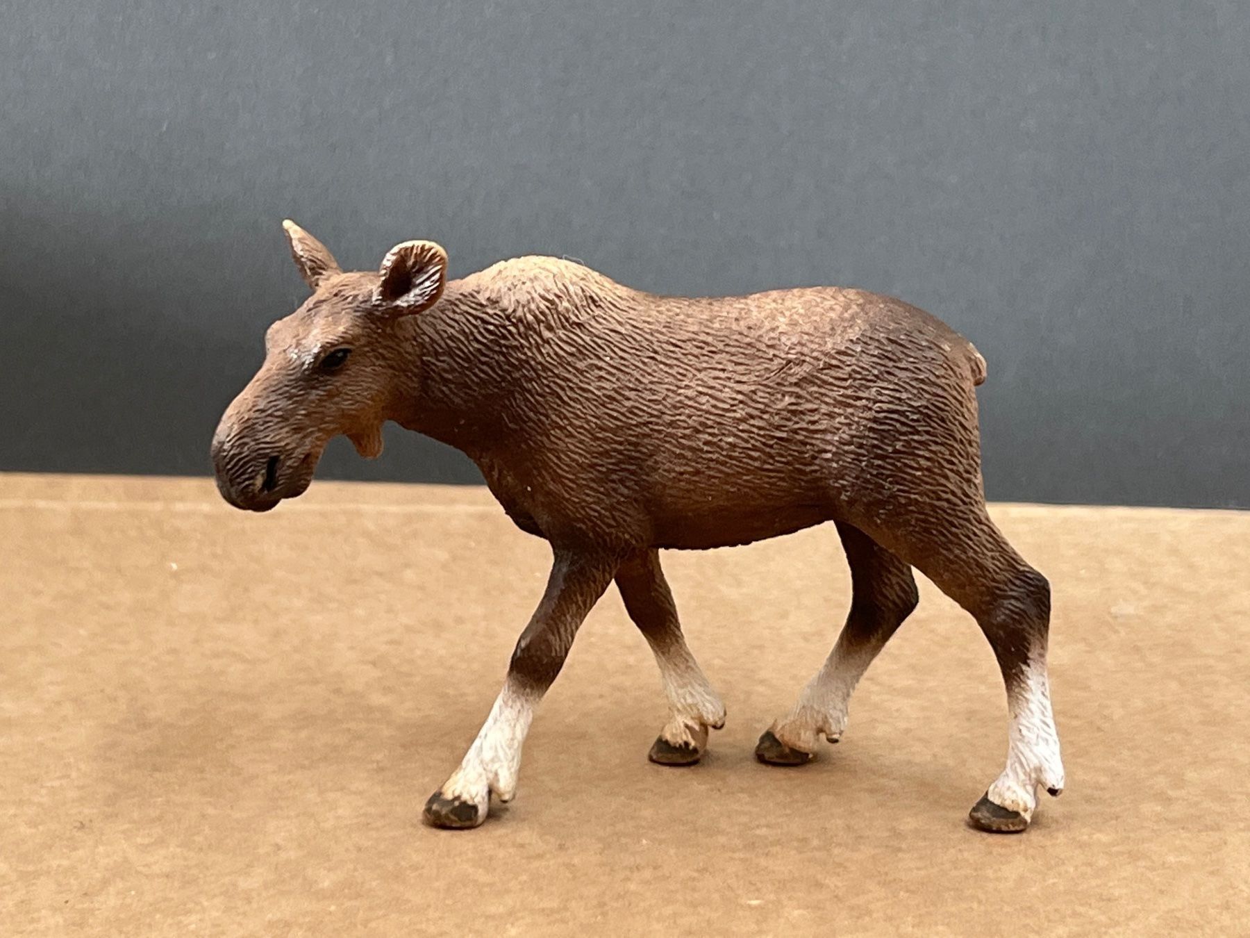 Schleich Statuette: Schleich 14620 Elch Kuh – Usato da Ennetbaden venduto da mapa05