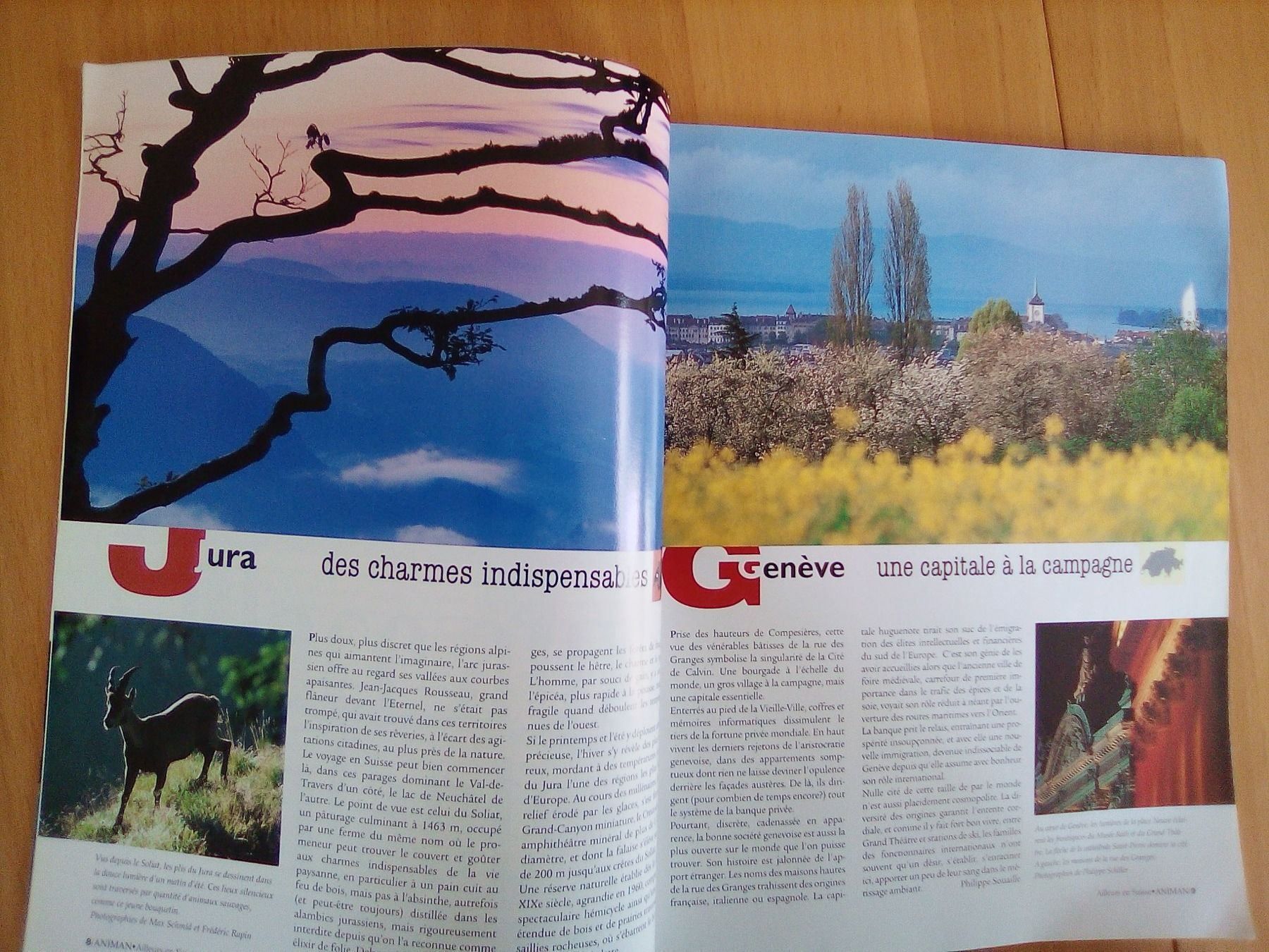Riviste & Magazine: ANIMAN Suisse - Le voyage immédiat – Usato da Porrentruy venduto da tupatup 9