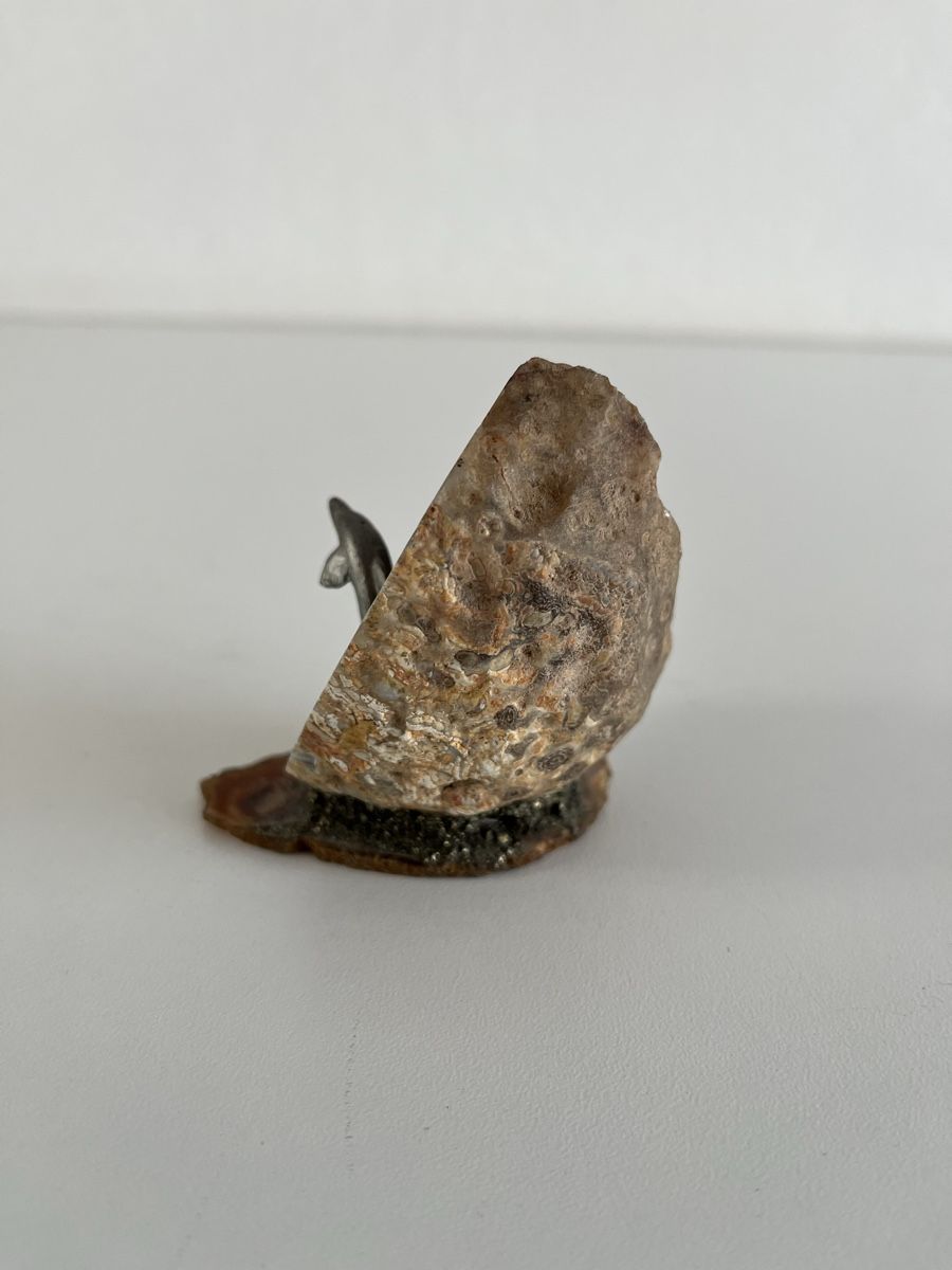 Sculture & Statue: Skulptur / Geode mit Delfin – Usato da Wetzikon ZH venduto da seli03 2