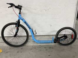 Cityroller Master - Top Zustand für den Sommer!