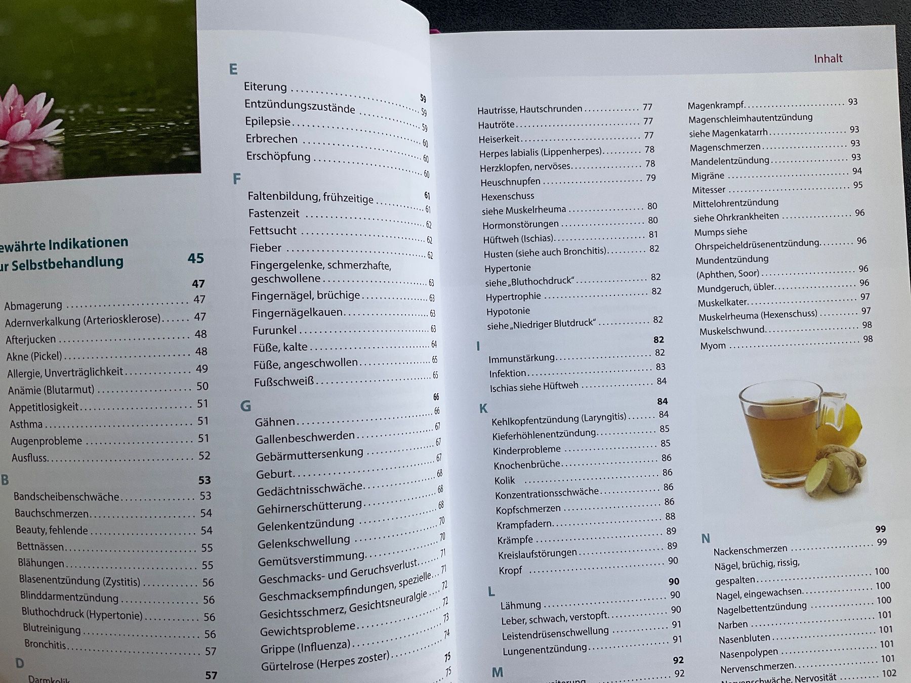 Libri: DIE NEUE SCHÜSSLER- HAUSAPOTHEKE – Usato da Avenches venduto da Lactobacille 2