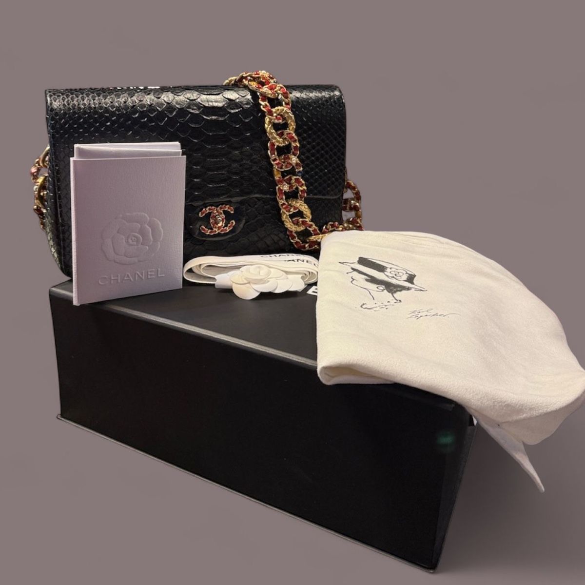 Chanel Taschen für Damen: Chanel Python – Gebraucht aus St Maurice von maloro