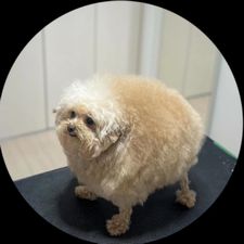 Profile image of moi_ra