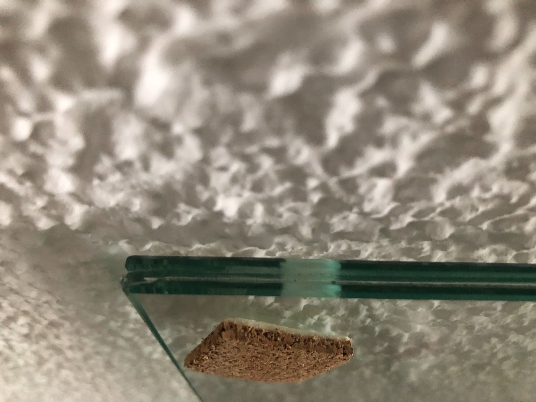 Bicchieri: Glasabdeckung – Nuovo (secondo la descrizione) da Flawil venduto da noplan 2