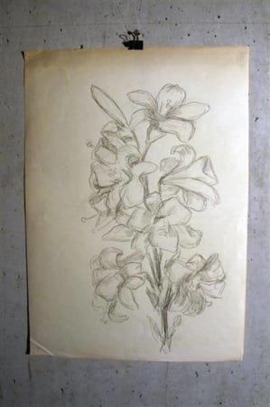 Bücher: ERNST BUCHNER (Schweiz, 1886-1951) – Gebraucht aus Bern von Arting 5