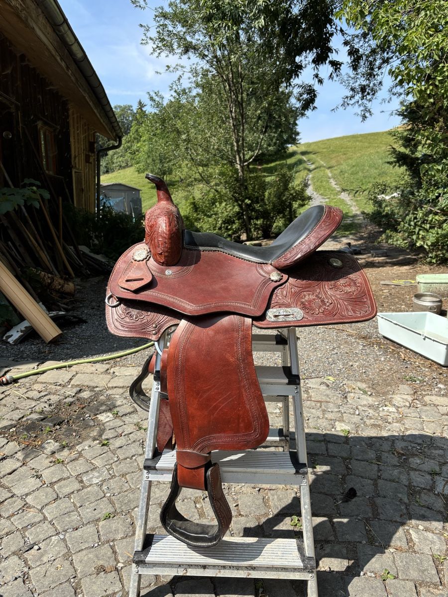 Selle & Accessori: Sattel – Usato da St. Gallen venduto da may_8fbd 4