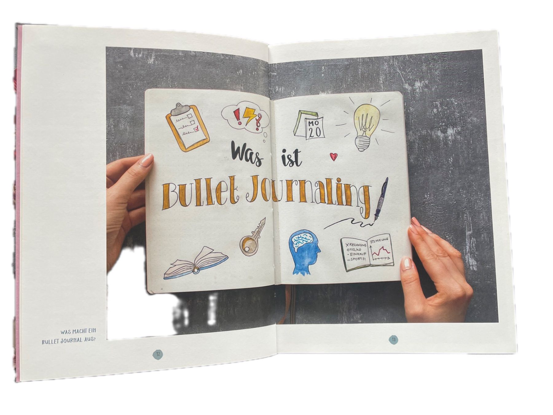 Libri: Journal mit der Bullet-Methode – Usato da Brugg AG venduto da jea_N00 2