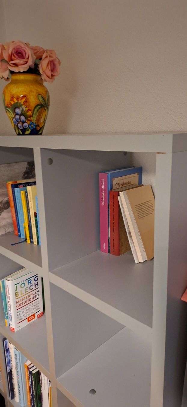 Étagères: Bücherregal massiv – Neuf (Voir description) à Männedorf par Mis_nl7l 2
