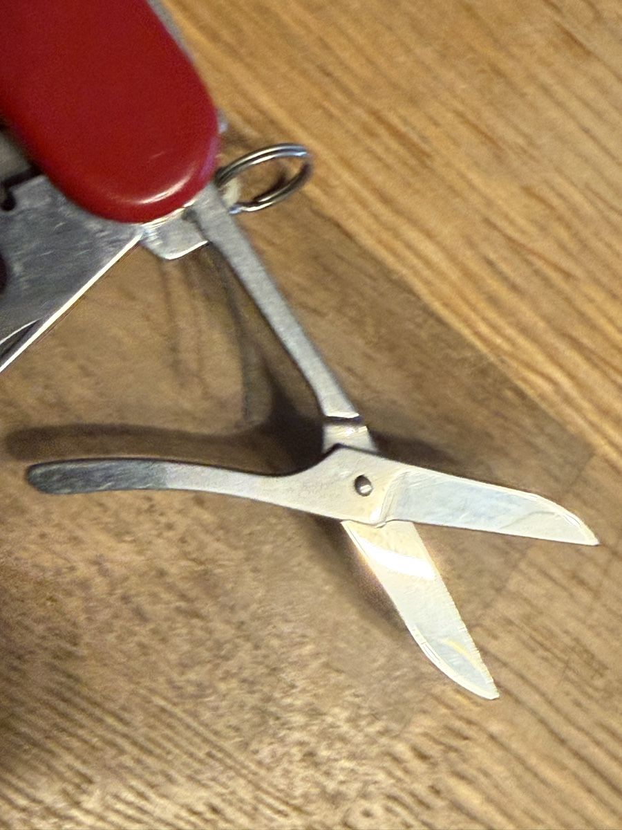 Zwilling Coltelli tascabile: Antikes Taschenmesser Zwilling Sackmesser – Usato da Goldach venduto da Messerguru 2