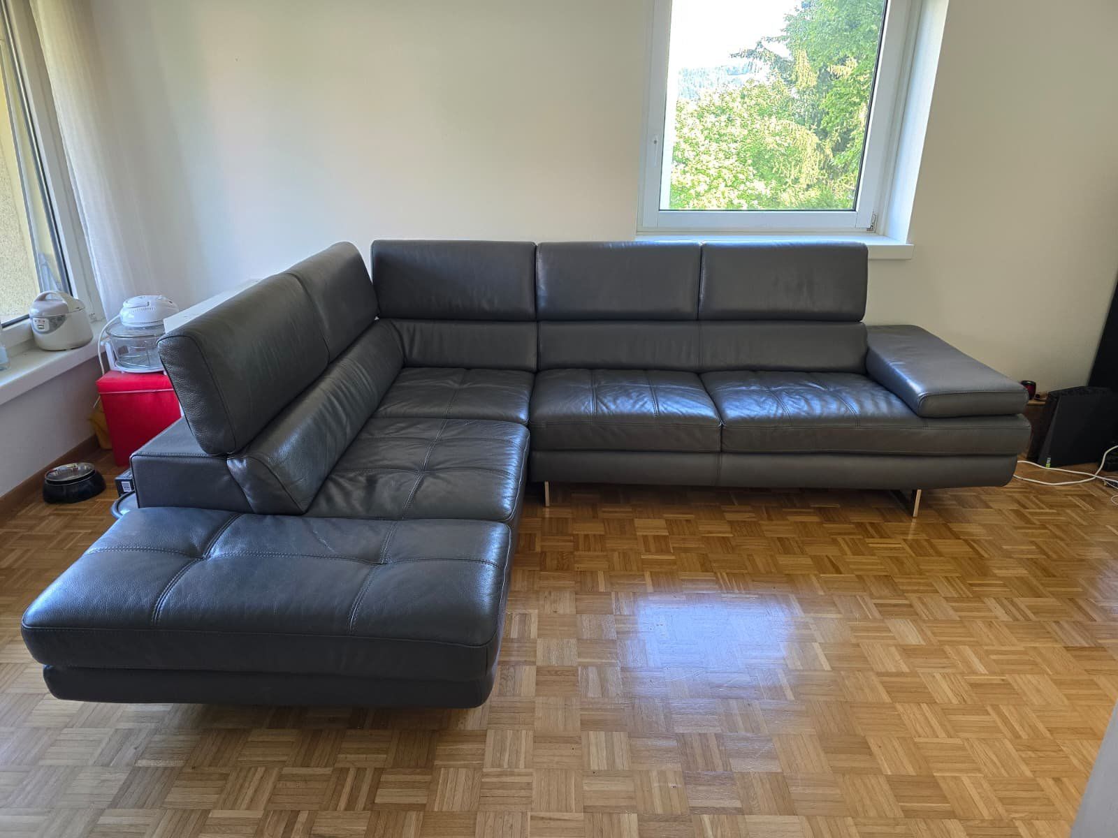 Sofas: Ledersofa (grau) – Gebraucht aus St. Gallen von anomis_m