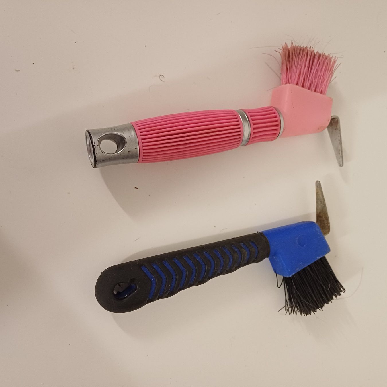 Altre attrezzature per stalle: Cure pieds 2 pcs avec brosse – Usato da Villeneuve VD venduto da vog_yc5s
