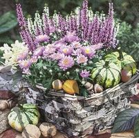 Serviette autumn basket (1630) 2Stk.