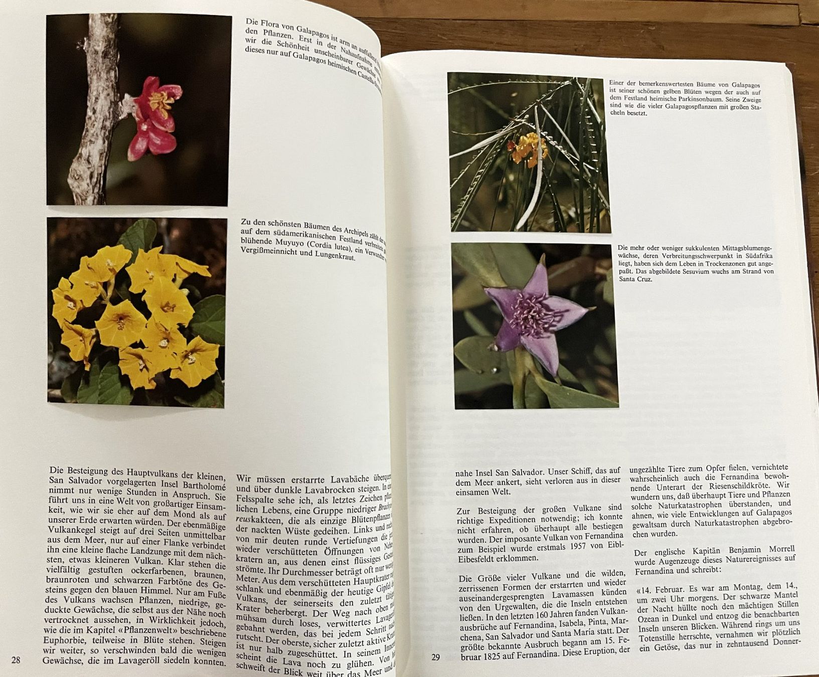 Libri: Silva Verlag, Zoo Galapagos, 1973 – Usato da Oftringen venduto da Vucki 6