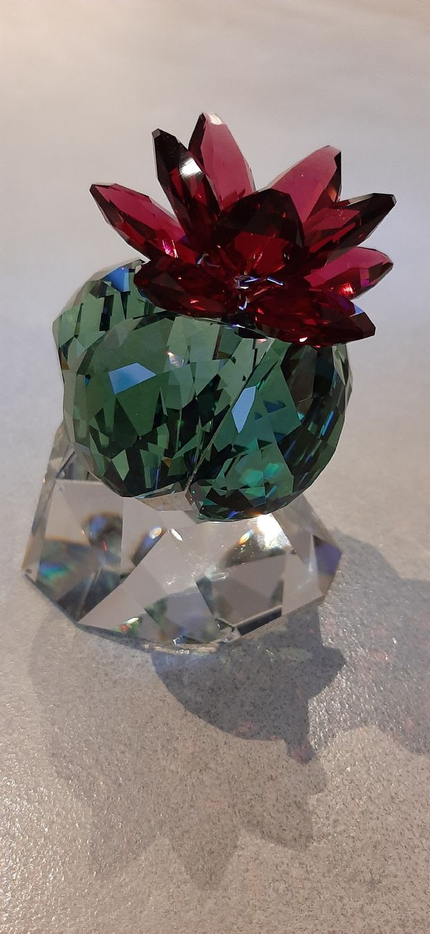 Swarovski Tutte le decorazioni: Swarovski Bordeaux Cactus – Nuovo e nell'imballaggio originale da Zuzwil SG venduto da alfaromeo159ti