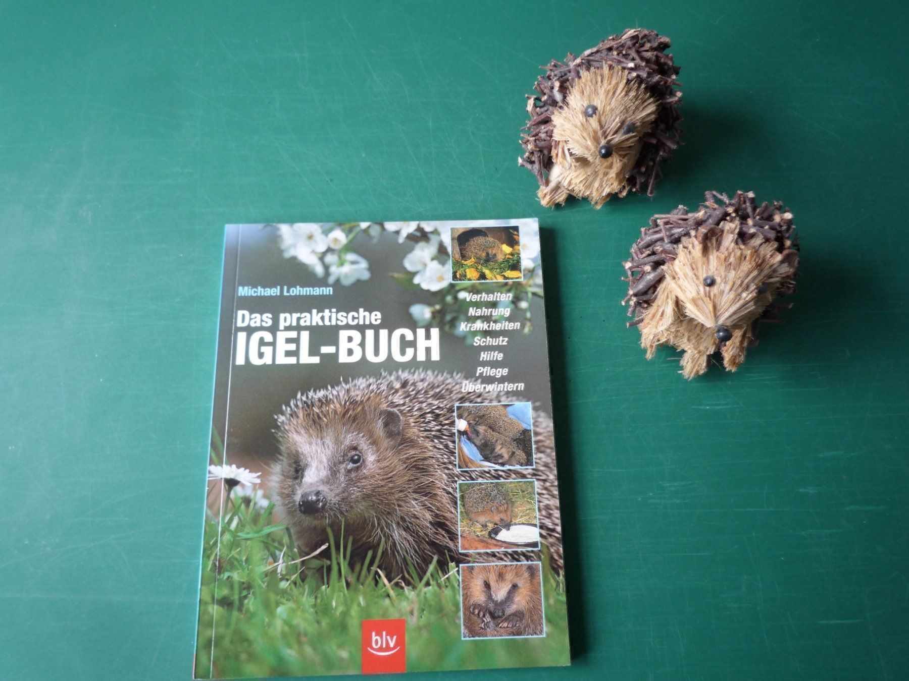Libri: Das praktische IGEL-Buch – Usato da Rafz venduto da Sonnenblume305