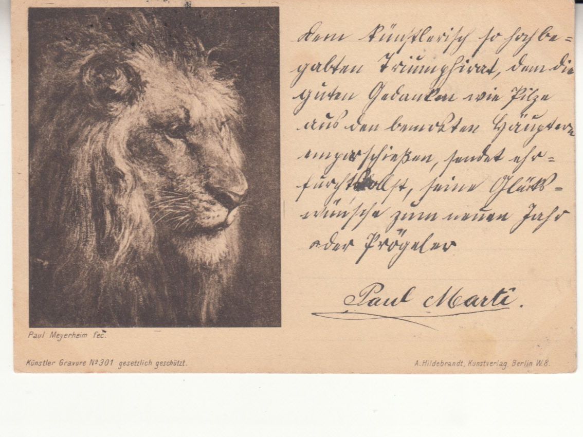 Cartoline postali: Löwe Paul Meyerheim 1901 – Usato da Bürglen TG venduto da StampGraf