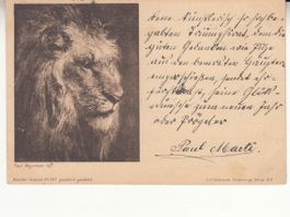 Löwe Paul Meyerheim 1901