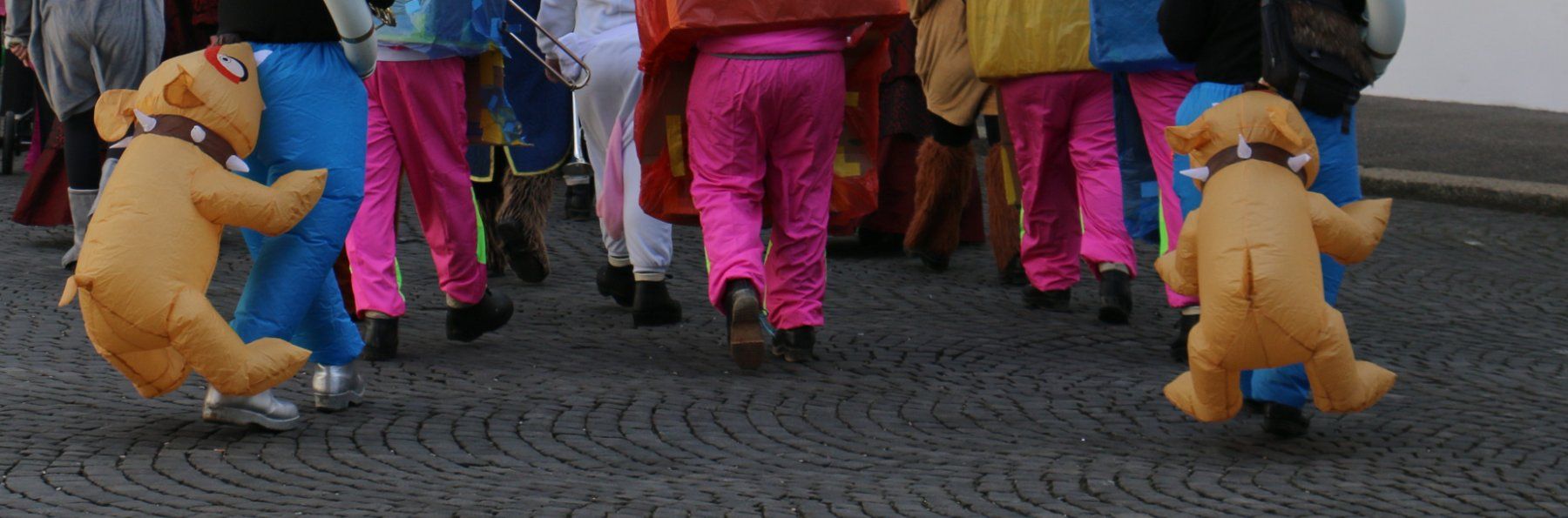 Costumi: Kostümhose "Hundebiss" – Usato da Rüttenen venduto da Mushorn 6