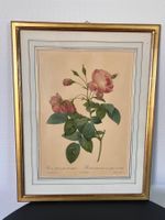 Vintage Rosen-Bild im Goldrahmen, Pierre-Joseph Redouté,Deko