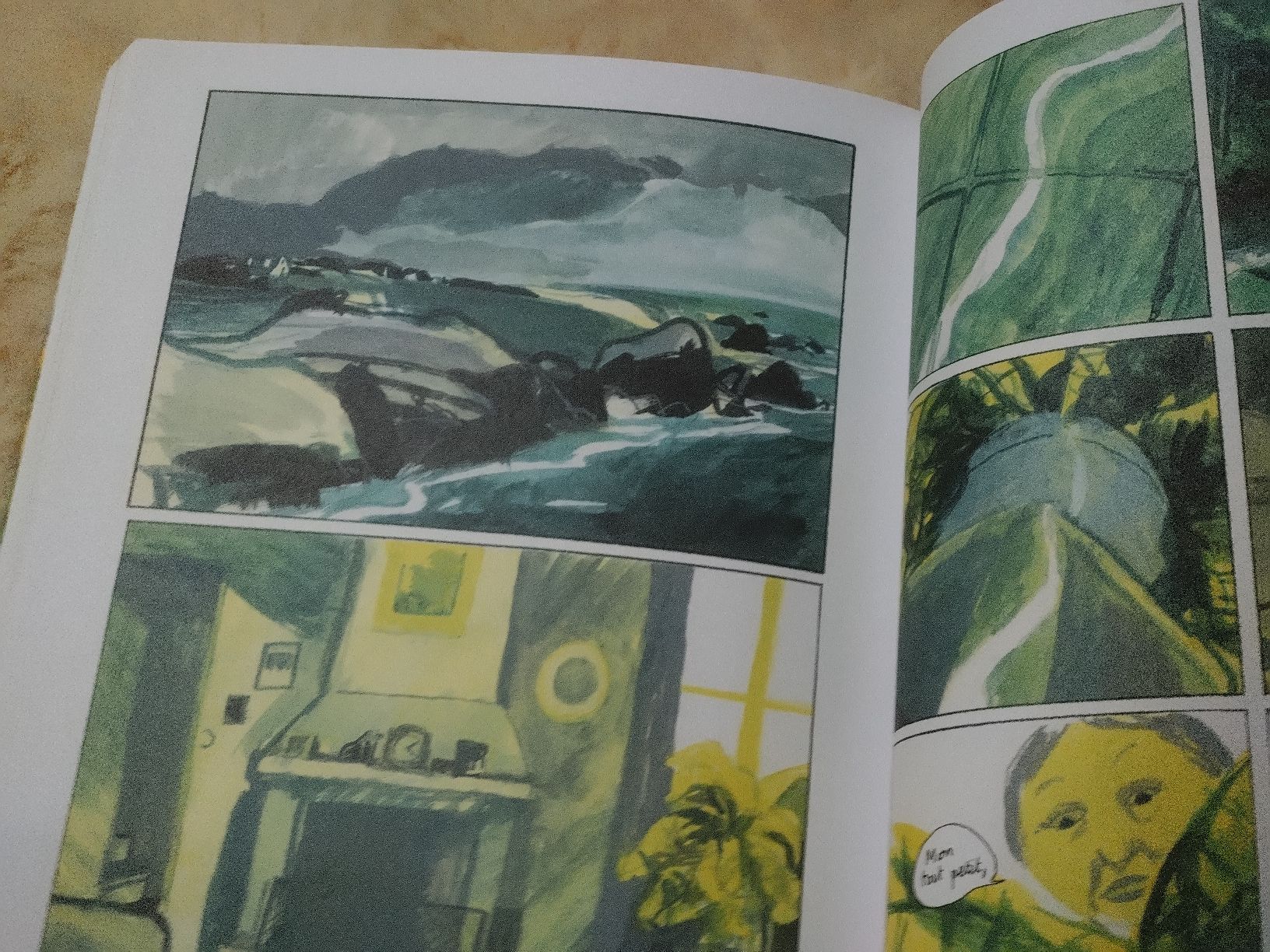Fumetti: La Sorcière Marie NDiaye, EO Jeune  – Usato da Farvagny-le-Grand venduto da LaCaverne 4