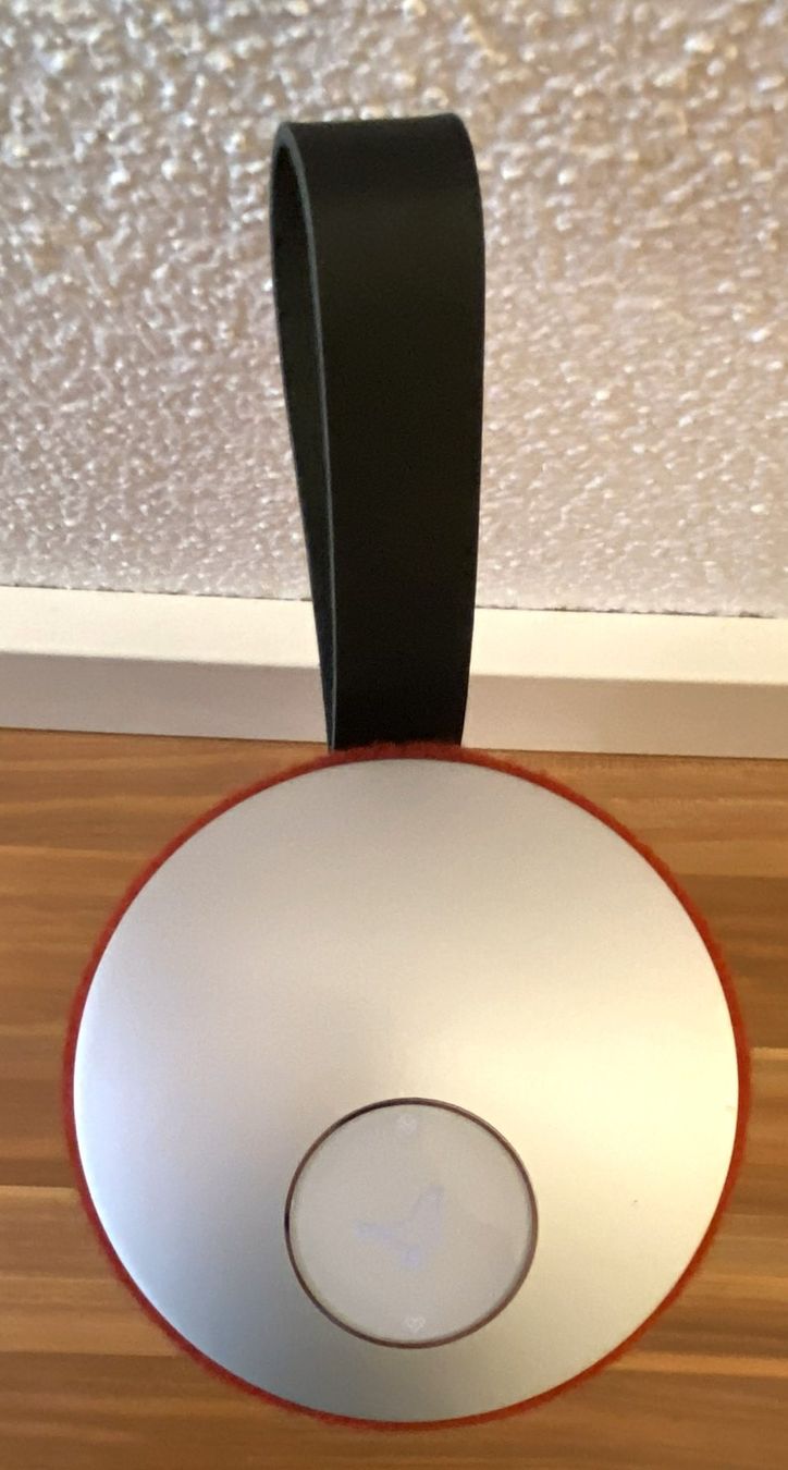 Libratone Casse acustiche: Libratone ZIPP – Usato da Schönenberg ZH venduto da Satspezie 2