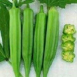Piante & sementi: OKRA GOMBO CLEMSON  15g – Nuovo (secondo la descrizione) da Bremblens venduto da FIBONACCI369 2