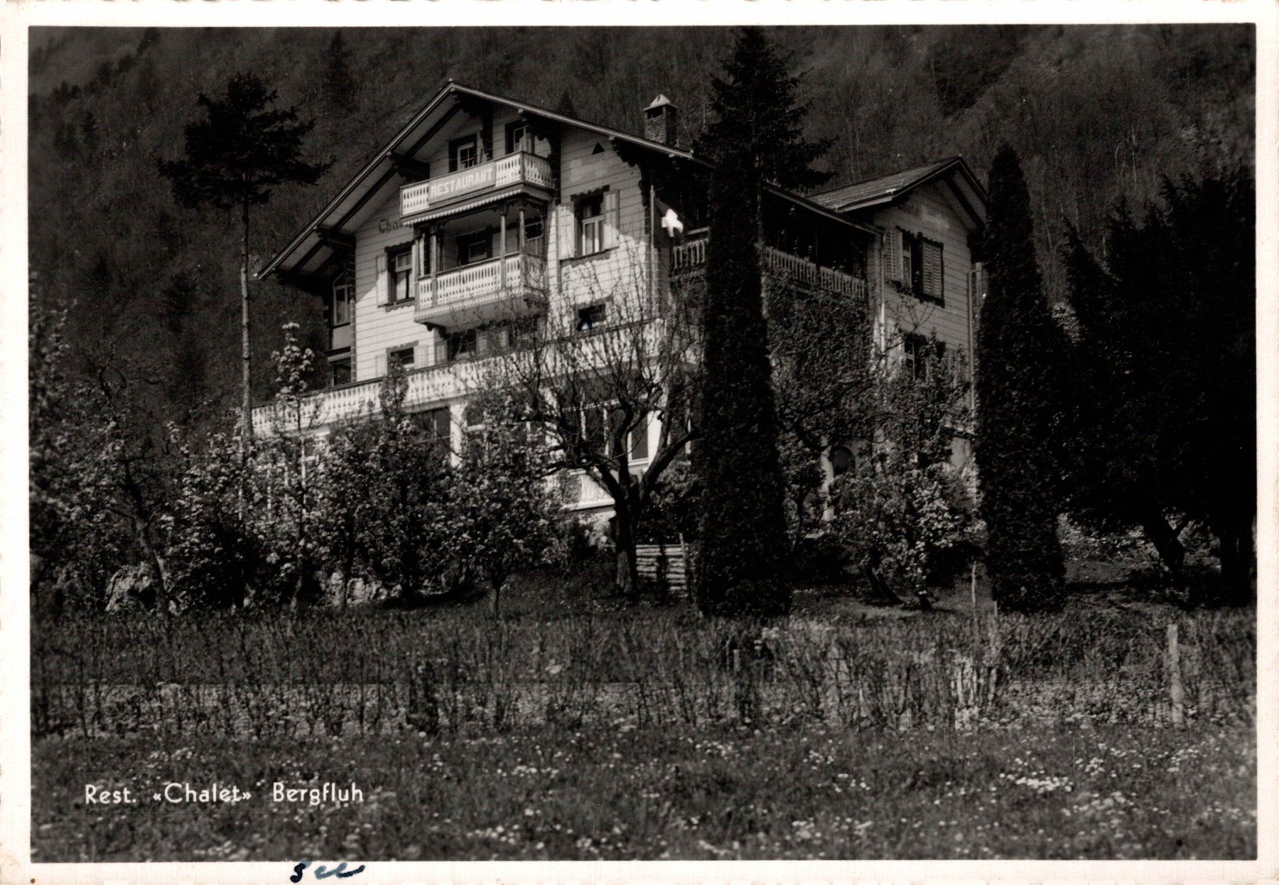 Ansichtskarten: Restaurant Châlet Bergfluh bei Brunnen – Gebraucht aus Bronschhofen von Astore