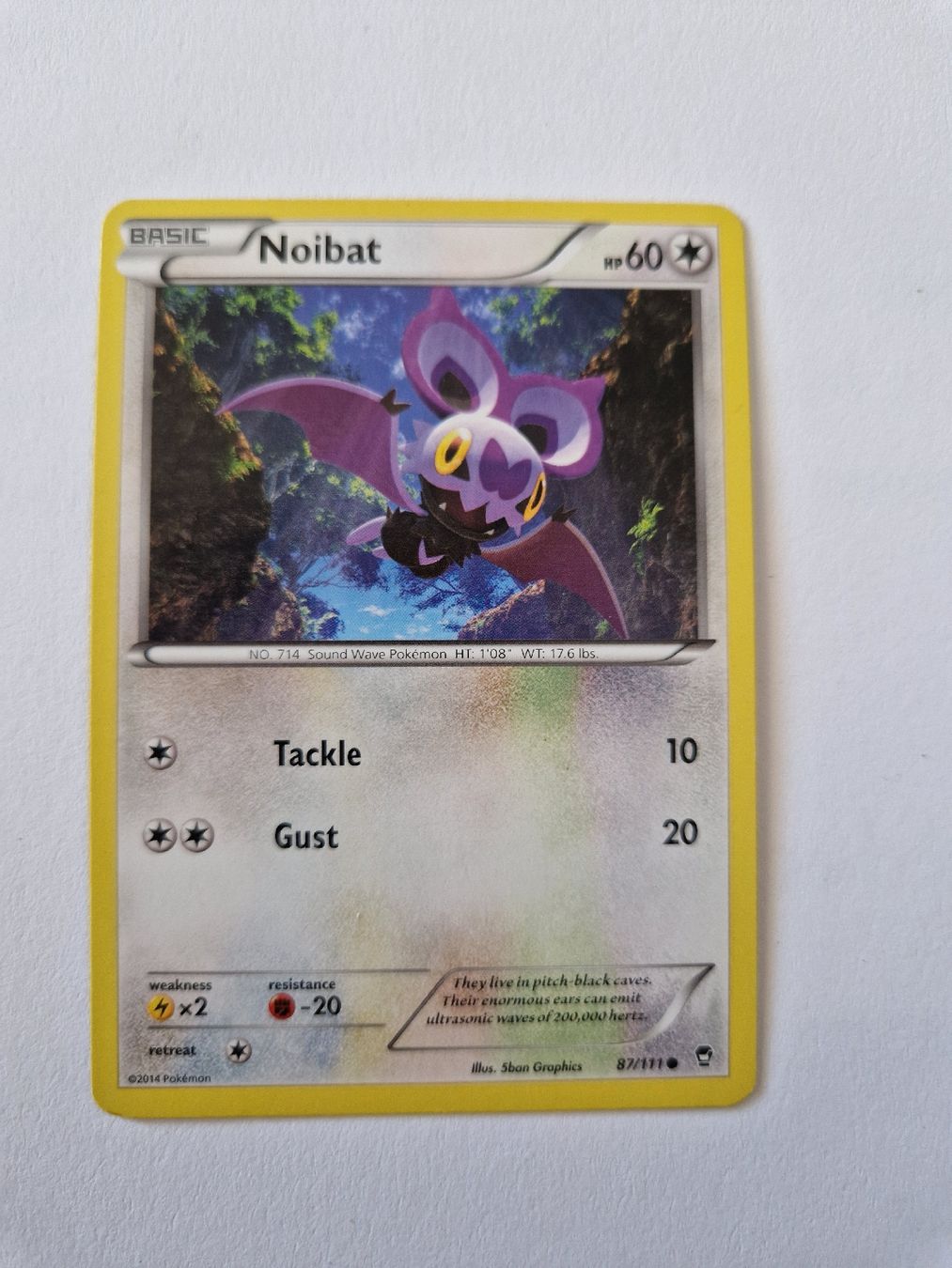 Pokémon Carte collezionabili: Noibat - Furious Fists - EN  – Nuovo (secondo la descrizione) da Romont FR venduto da raj_sjv9
