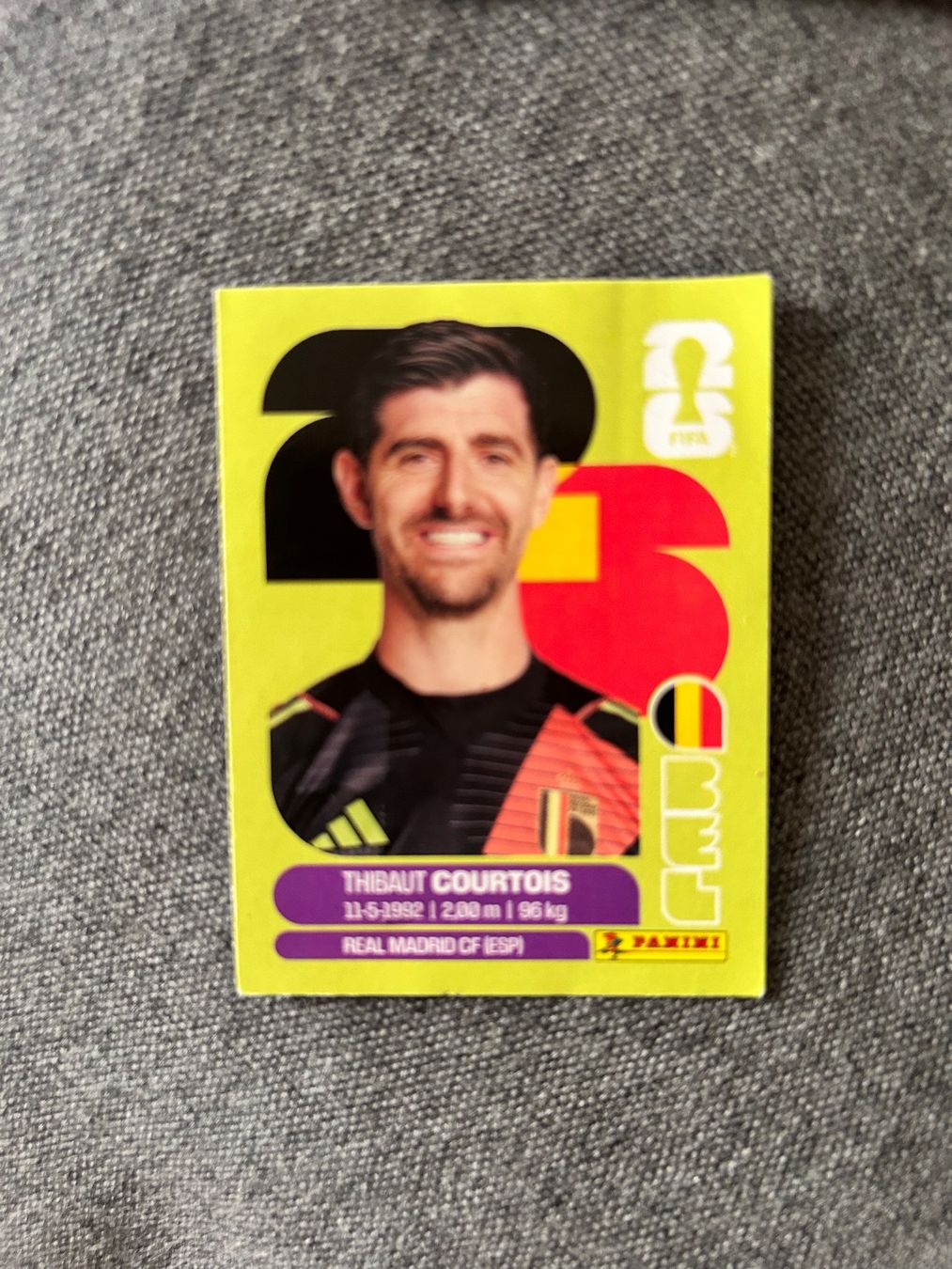Panini Carte collezionabili: Panini 2026 BEL 2 – Usato da Genève venduto da annedev