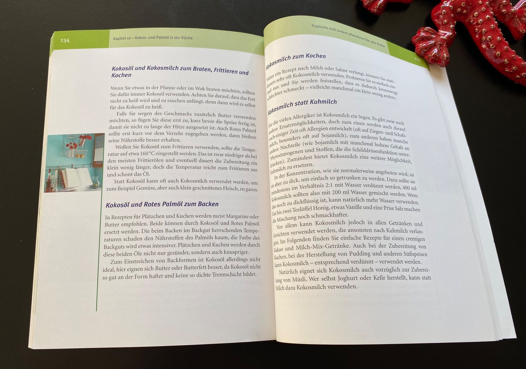 Libri: DAS KOKOS BUCH – Usato da Nussbaumen AG venduto da schuba2000 6