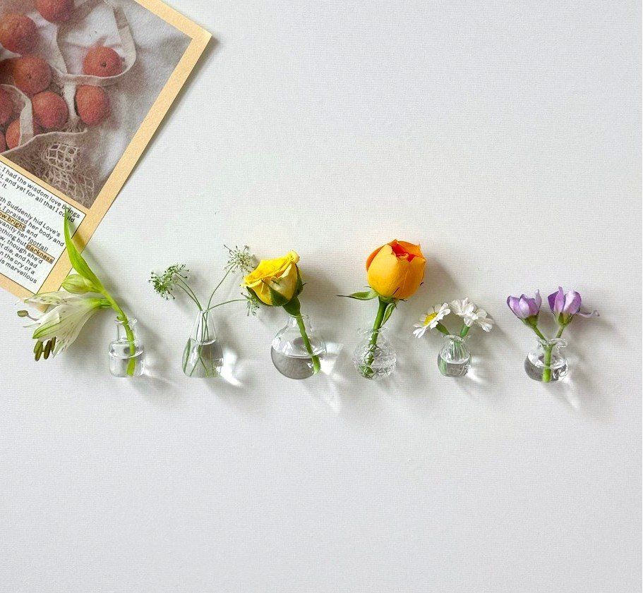 Vasen & Gefässe: 6 Mini Glasvasen mit Magnet – Neu (gemäss Beschreibung) aus Finstersee von Small-Daily-Rituals 1