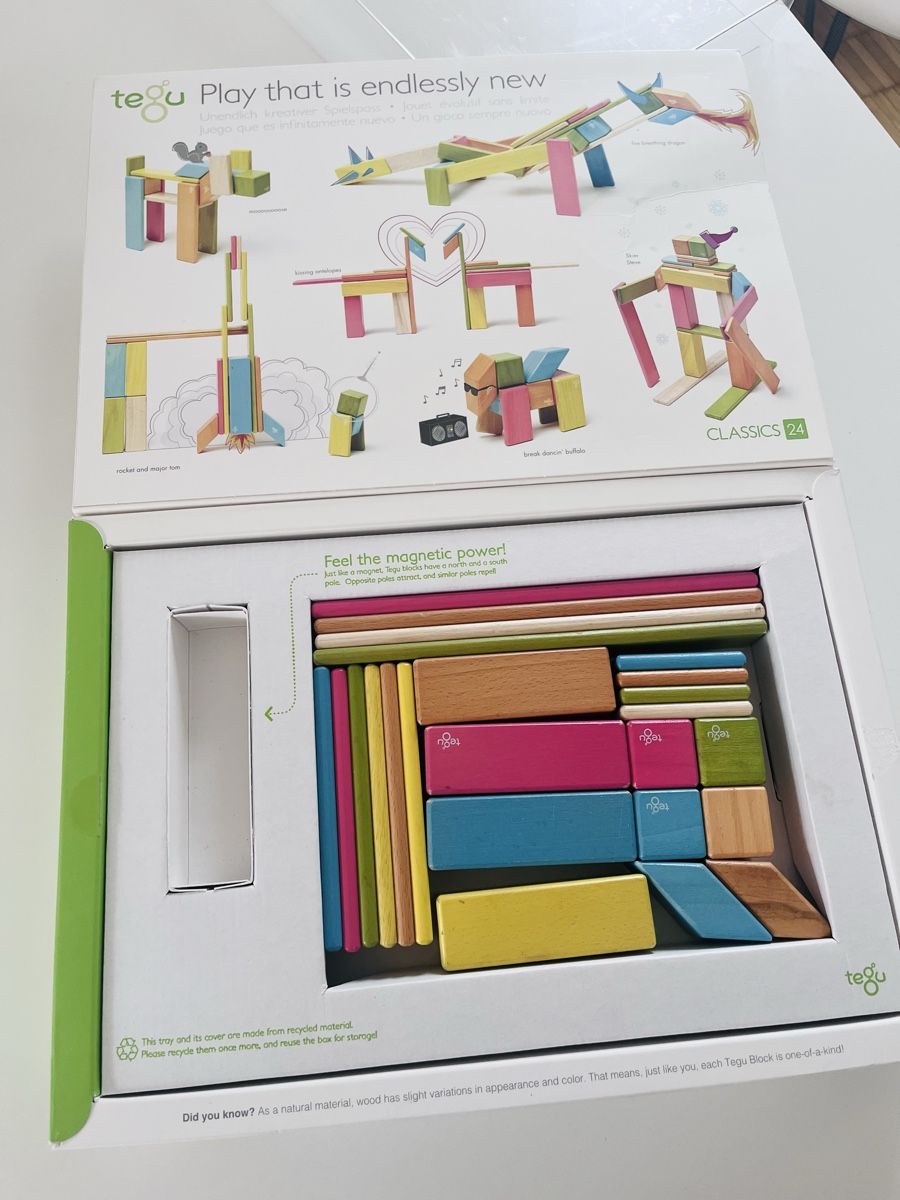 Giocattoli: Tegu magnetische Bausteine Holz – Usato da Zürich venduto da cha_s85j 1