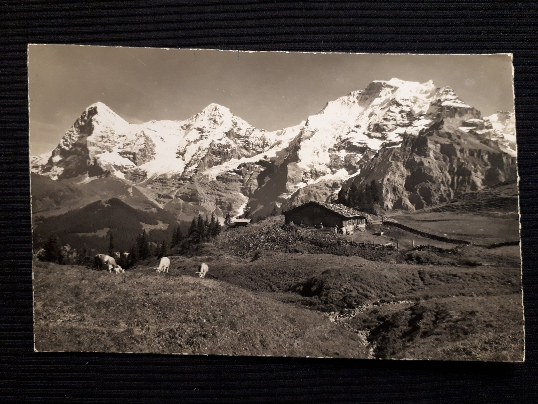Ansichtskarten: OBERBERG BEI MURREN – Gebraucht aus Ponto Valentino von giorgia06
