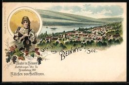 Litho Beinwil a. See, Gesamtansicht, Auf